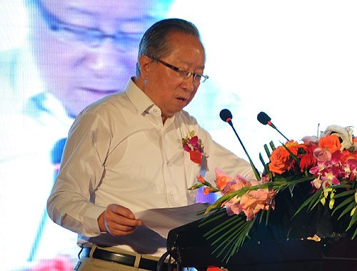 高新民:2015年中國(guó)網(wǎng)民能夠達(dá)到7到8個(gè)億