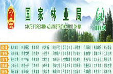 [2009特色評(píng)選] 國(guó)家林業(yè)局榮獲“品牌欄目獎(jiǎng)”