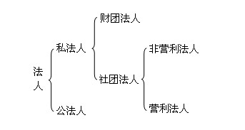 組織機構(gòu)代碼與我國的法人及法人制度