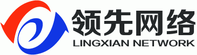 湖南領(lǐng)先網(wǎng)絡(luò)科技有限公司