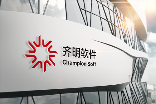 廣州市齊明軟件科技有限公司