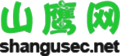 河南山谷網安科技股份有限公司