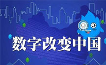 西方經(jīng)驗在廈門市數(shù)字政府治理中的應用分析