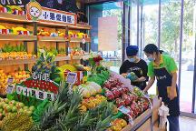 金三銀四開水果店正當時，吉小果期待合作共贏