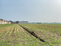 山東財(cái)經(jīng)大學(xué)耕地非糧化研究團(tuán)隊(duì)——探究山東省競(jìng)爭(zhēng)視角下的耕地非糧化
