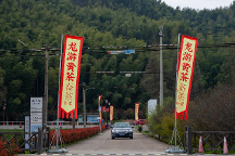 茶報|2023中國?龍游黃茶首屆開采節(jié)暨虔龍黃茶新品發(fā)布會