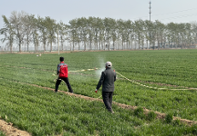 助力春耕春管,看中和農(nóng)信的農(nóng)服“贏春圖”