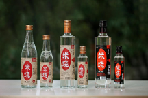 春糖頂流 高燃收官 | 能賦·米燒征程不止，勇毅前行耀未來(lái)！