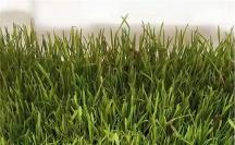 厚德珍硒: 聚焦生物科學(xué)領(lǐng)域，深究富硒研發(fā)技術(shù)