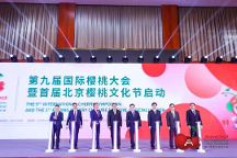 北京、澄城兩地同時點亮櫻桃行業(yè)的“奧運會”！