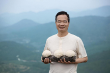 高品質(zhì)銀耳品牌，金燕耳傳承銀耳食養(yǎng)文化