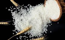 禾之善：堅定使命，只為大家吃上一碗健康的好米飯