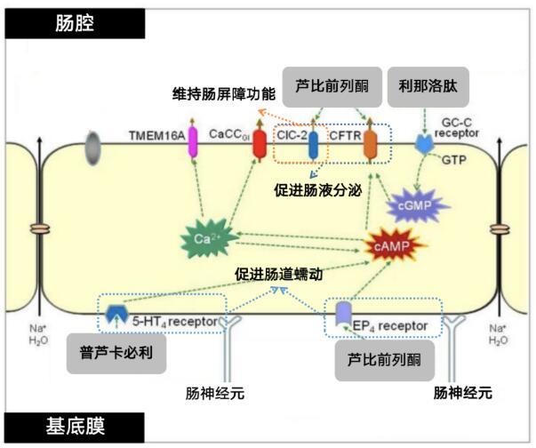 點擊查看原始圖片