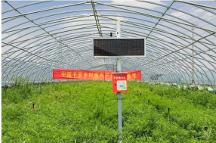 馬明哲：深化戰(zhàn)略，修煉內(nèi)功，收獲新時期的高質(zhì)量發(fā)展