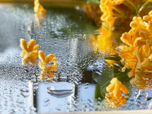 千年舟鋅效抗菌2.0系列健康板材，以超硬核實力守衛(wèi)家居健康