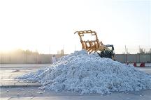 新疆長(zhǎng)絨棉供不應(yīng)求，“大博弈”后沖出一匹新黑馬