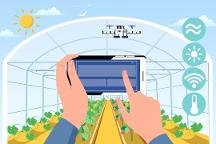 “認(rèn)養(yǎng)”+“農(nóng)業(yè)”怎么玩？超級(jí)碼認(rèn)養(yǎng)云平臺(tái)——打通產(chǎn)供銷，助農(nóng)增收促振興