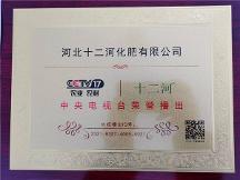 瞄準新賽道，促進新發(fā)展，河北十二河化肥有限公司榮獲央視品牌展播