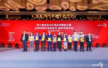 長城俠IP項(xiàng)目榮獲“品牌傳播年度案例獎”