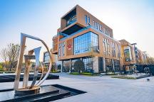 圣雅菲科普篇 | 干細胞對阿爾茲海默癥的治療