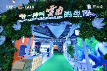 探館第 9 屆南博會“住在云南”展區(qū)：解碼詩意棲居的云南答案